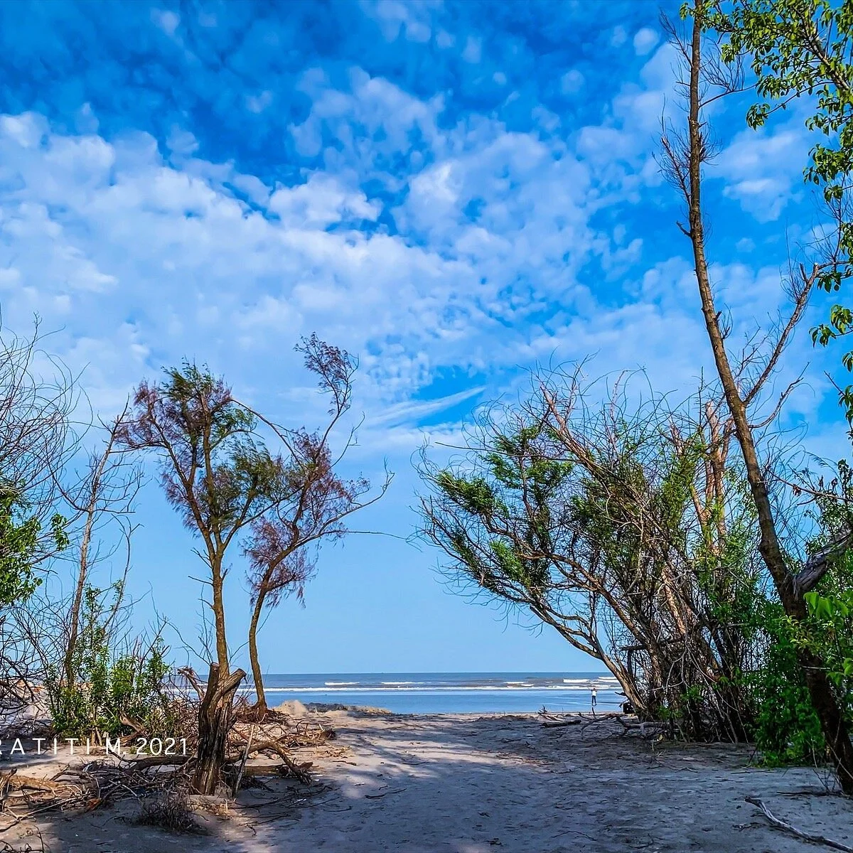Bakkhali & Henry Island