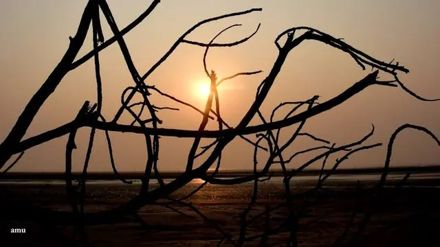 Best Time to Visit Bakkhali: Season by Season Guide for 2026-27