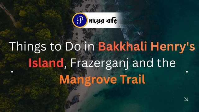 Things to Do in Bakkhali: Henry's Island, Frazerganj and the Mangrove Trail